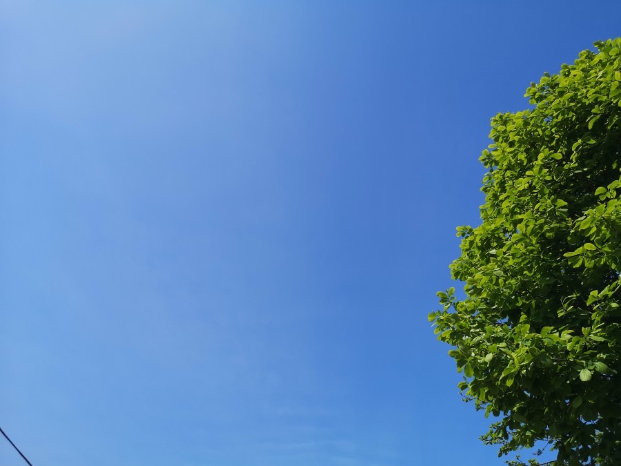 今　空✨✨✨新府中街道