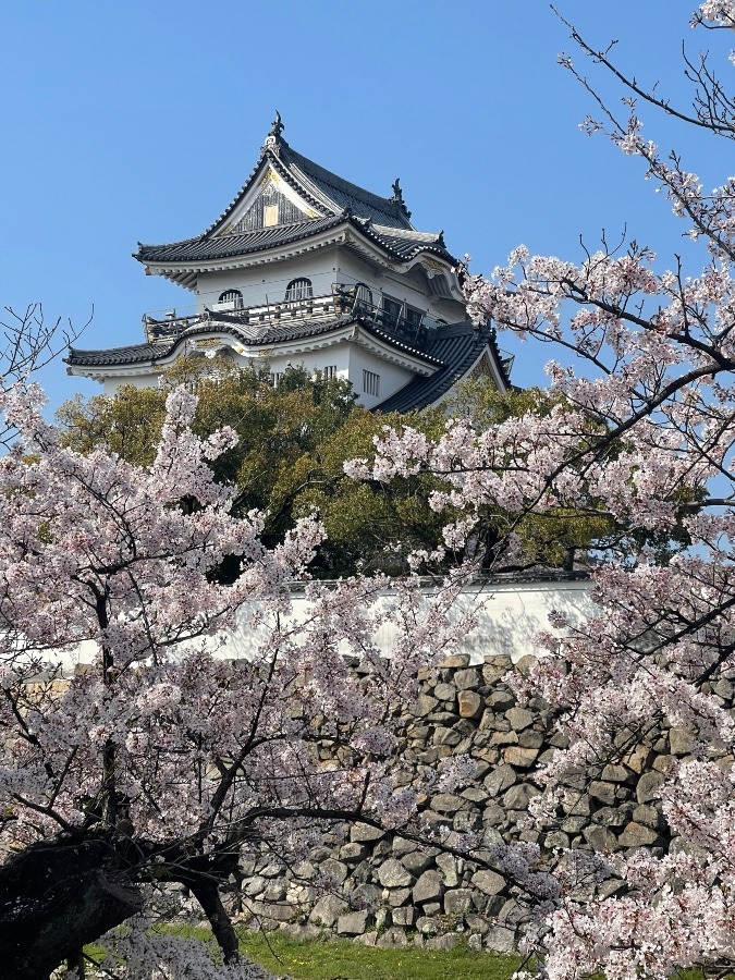 お城祭り