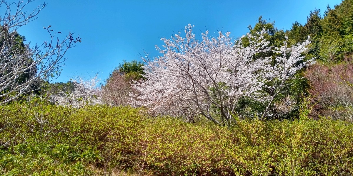 おいでよ防府市🎵