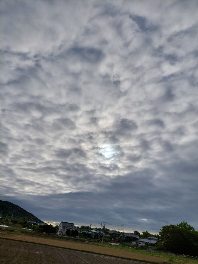 東の今空