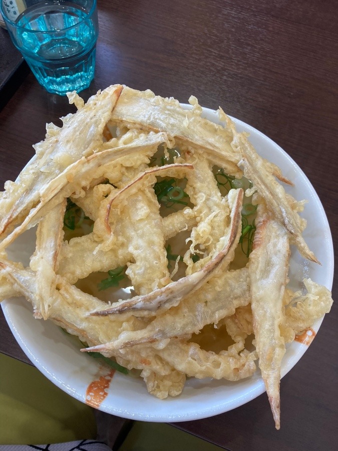 ごぼう天うどん