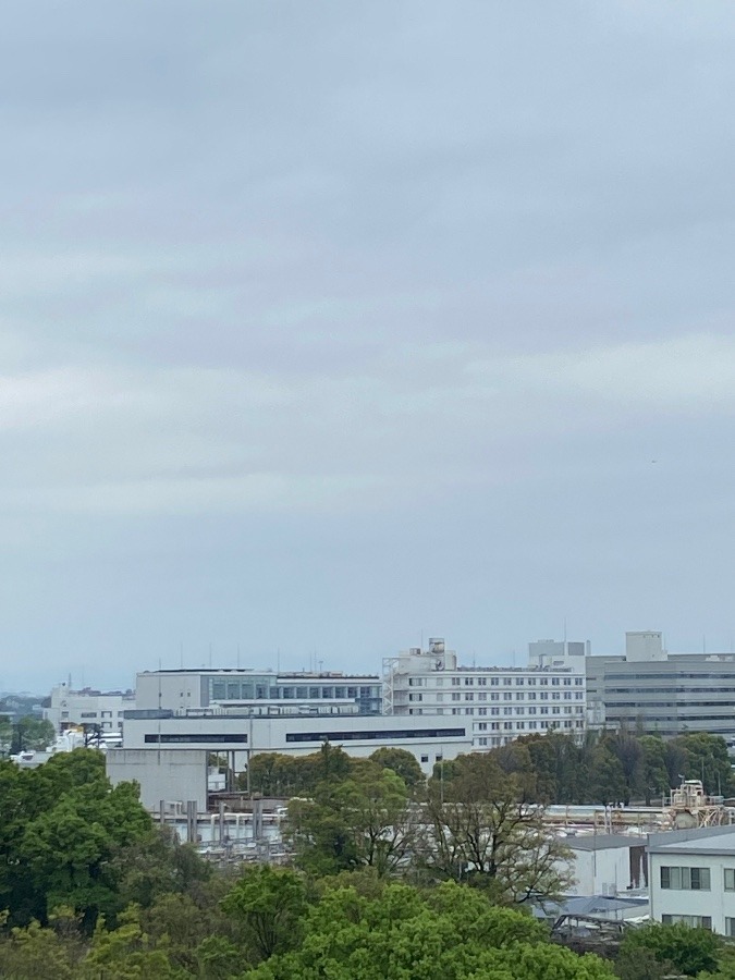 今日の富士山