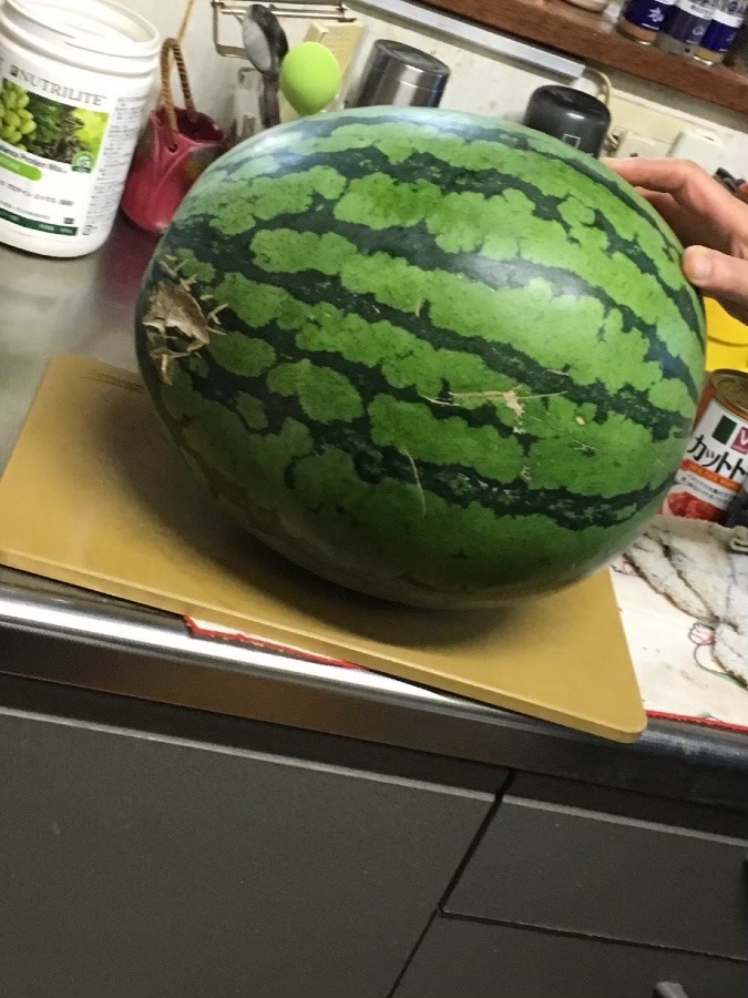 スイカ🍉