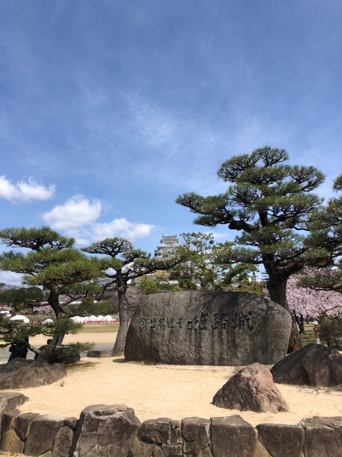 姫路城と松