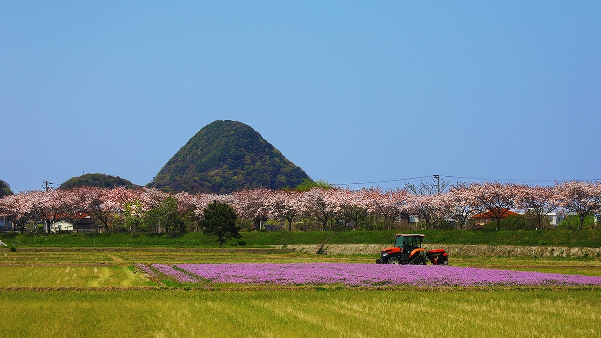 田んぼの真ん中