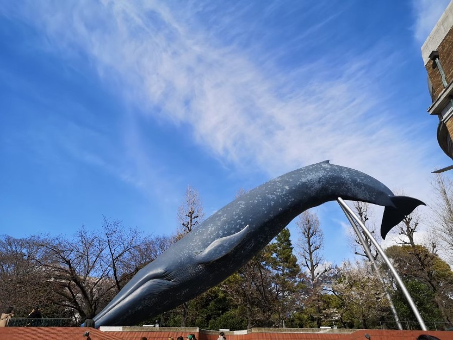 青空が恋しい時は✨✨✨