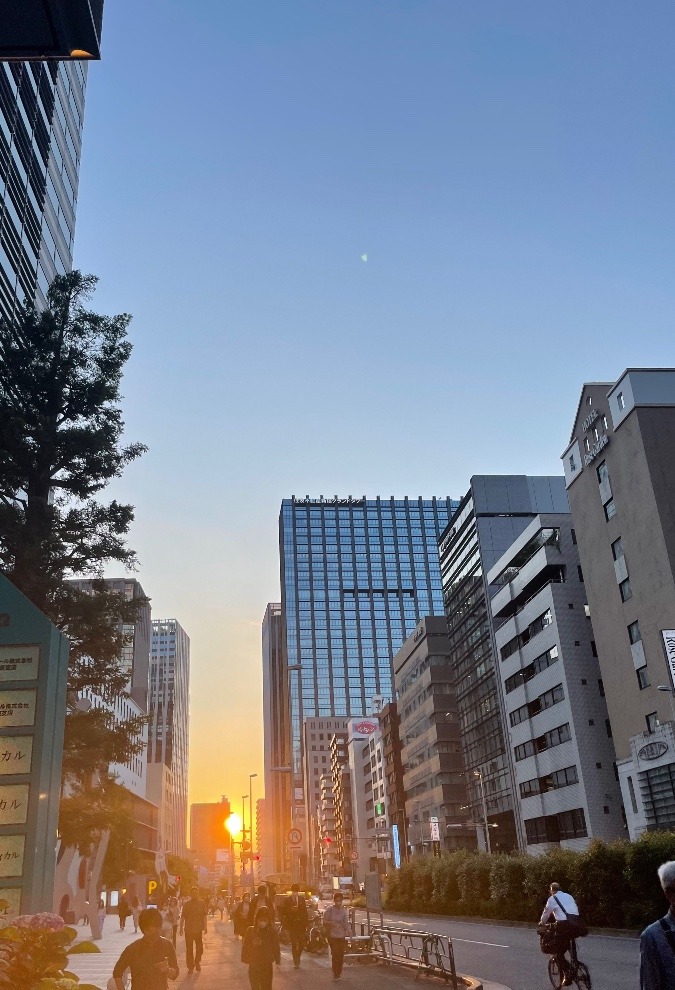 今日の夕陽