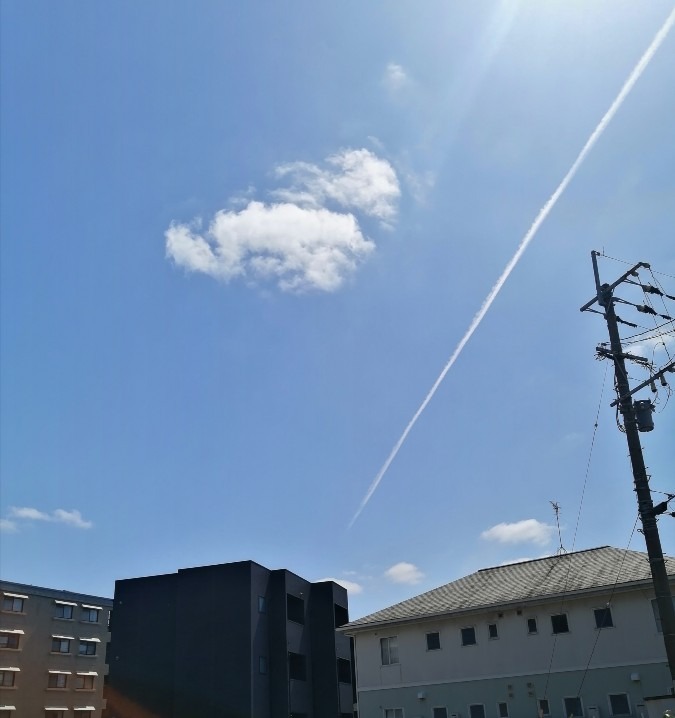 飛行機雲と走る生き物