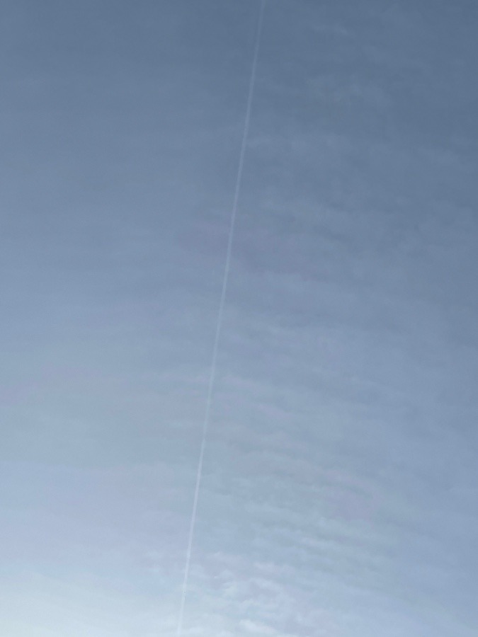 今朝空②