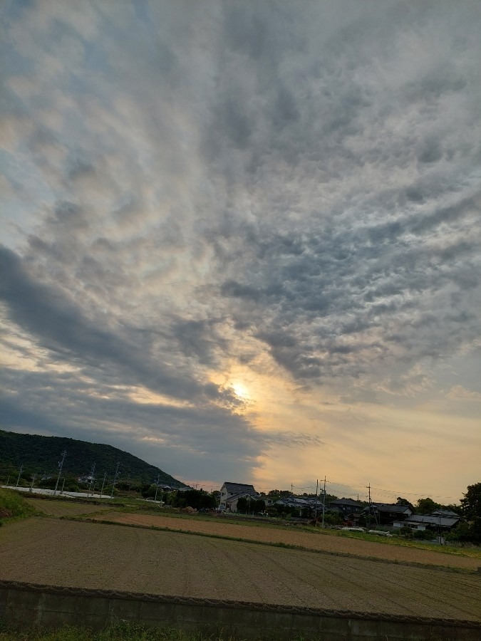 5/9 朝の空