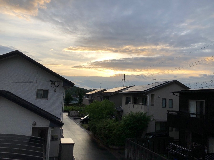 ✨夕日✨