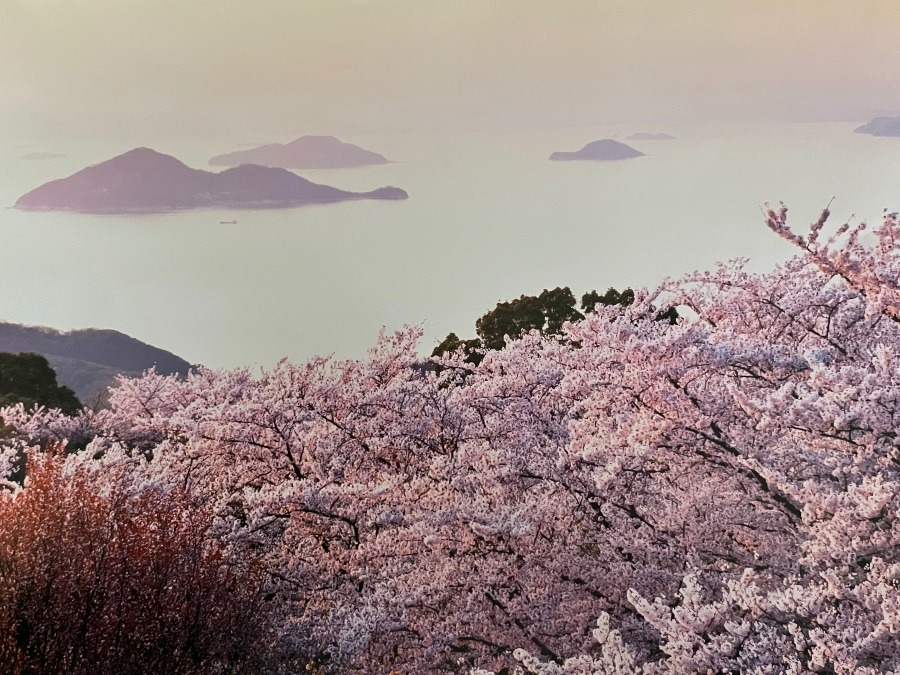 香川・紫雲出山 (4月カレンダー)