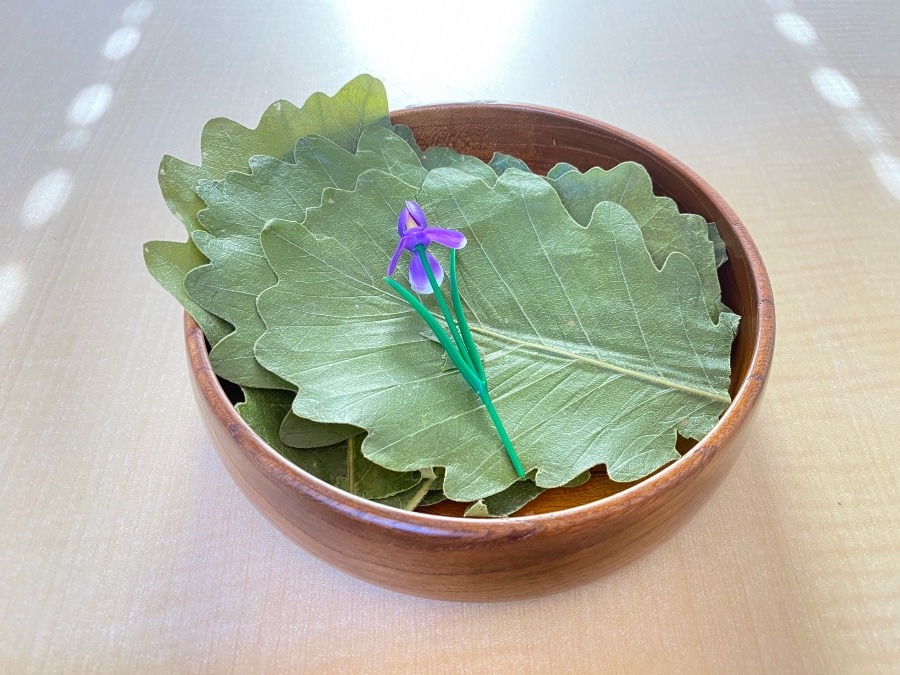 三時のおやつ　柏餅