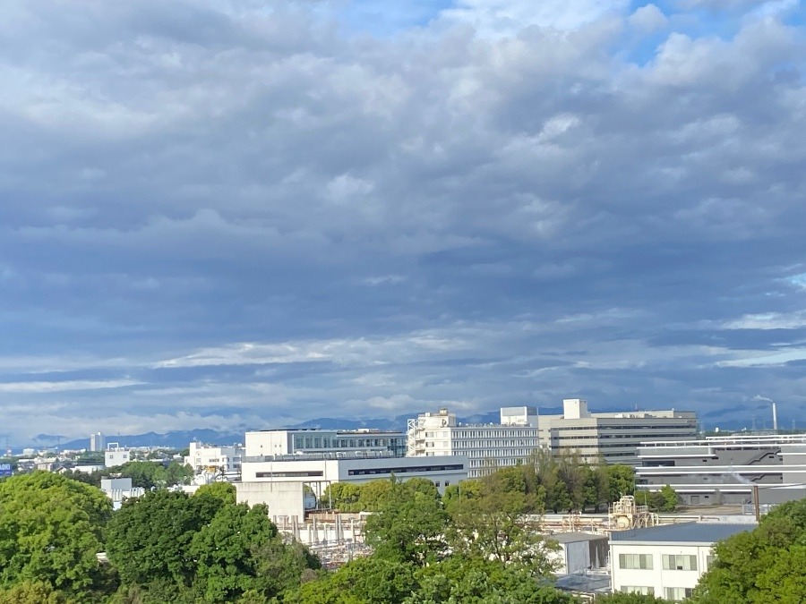 今朝の富士山