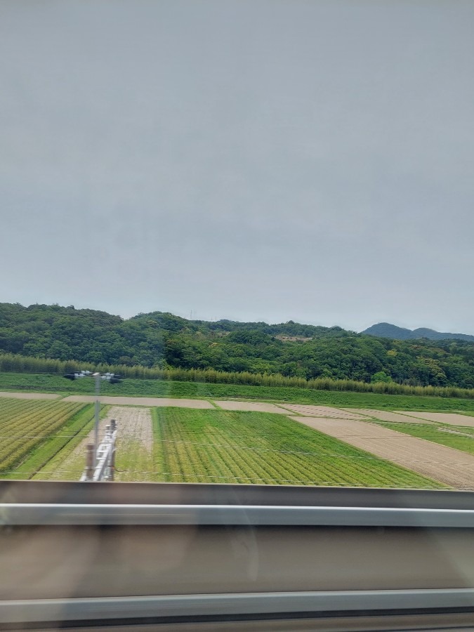 新幹線からの風景