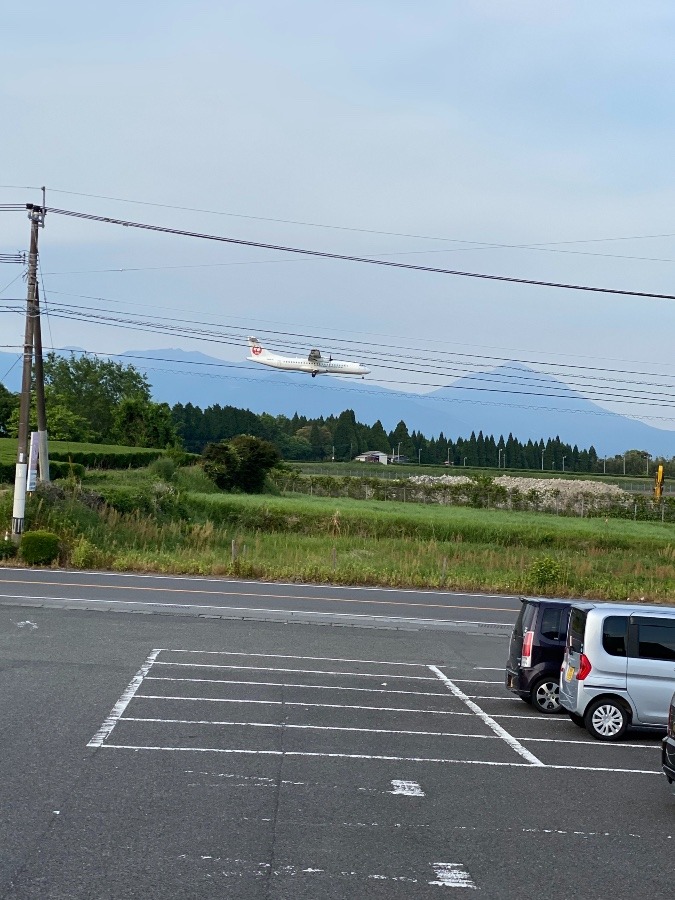 今日の結果‼️