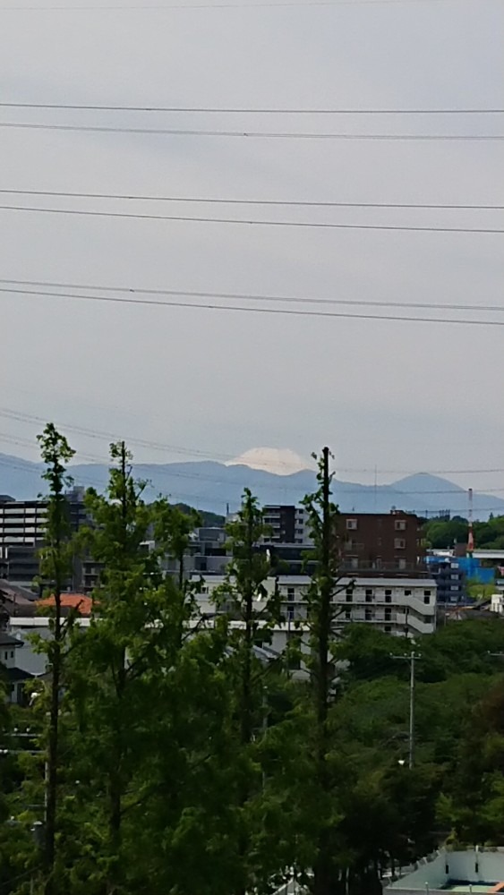 富士山🗻見えます