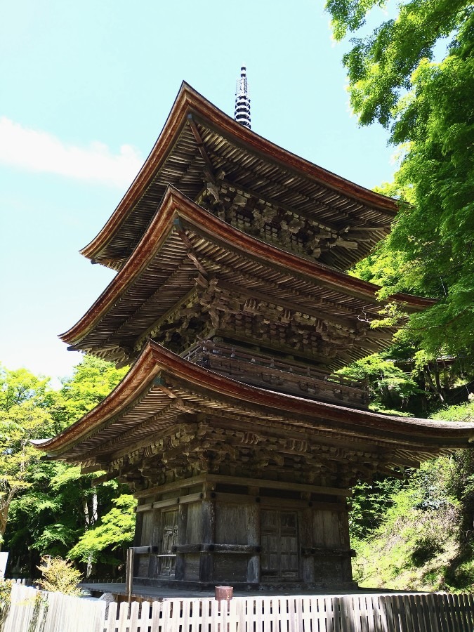 金剛院②