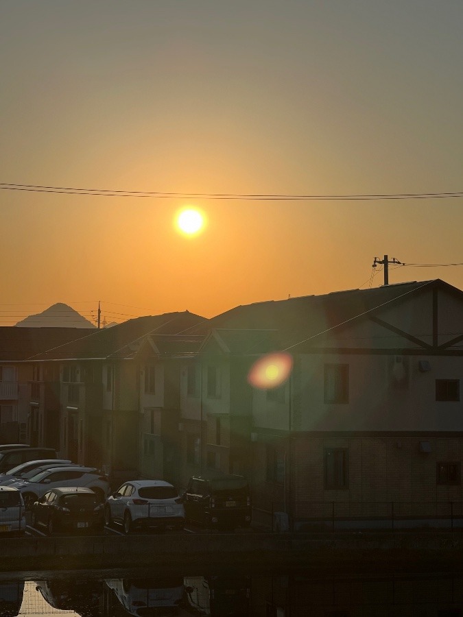 今朝の風景