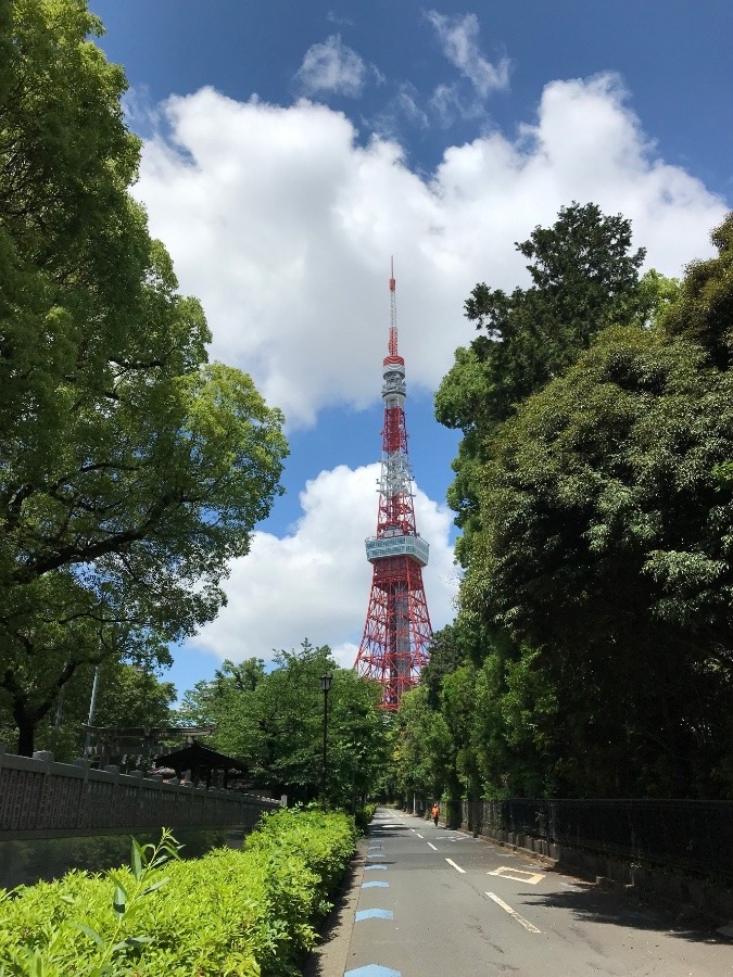 ⭕️東京タワー近くの、空と雲、1‼️(^O^)