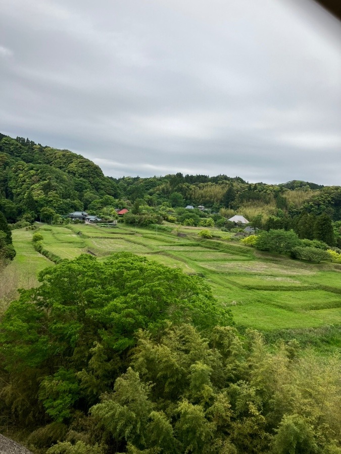 5月らしい景色