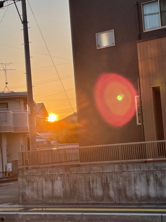 日の出✨