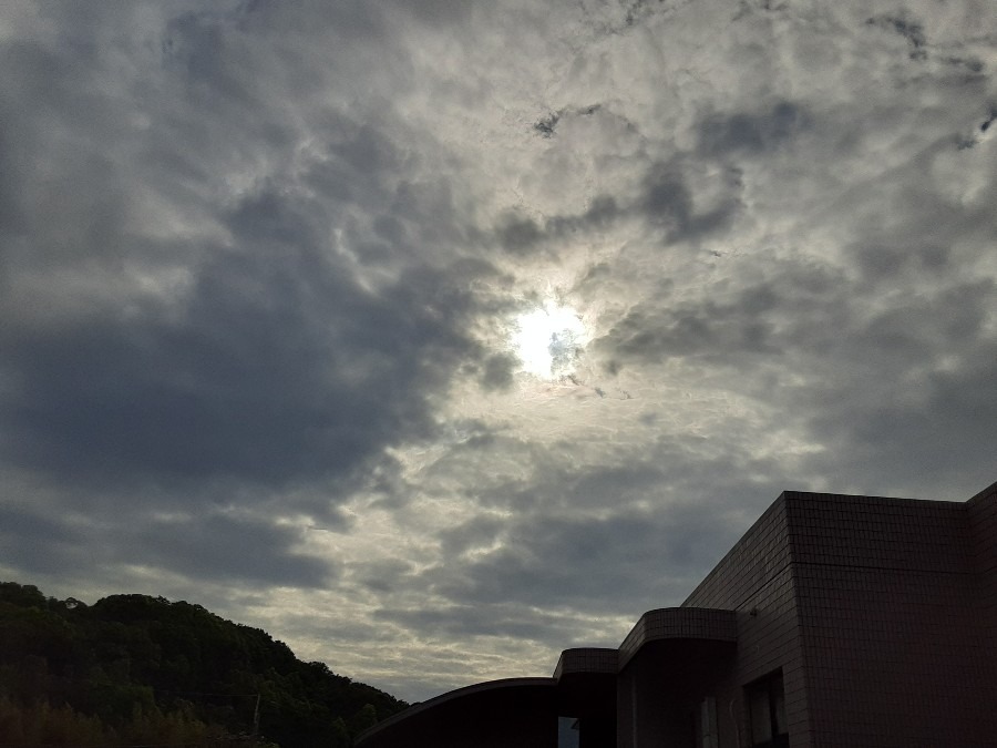 雲もくもく部❣️( ˶˙ᵕ˙˶ )🍀*゜