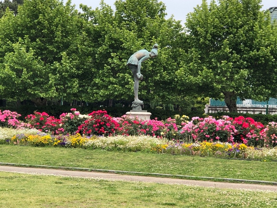 鶴舞公園の薔薇