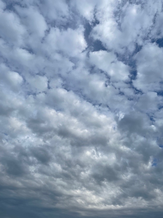 今日の空☁️/長岡