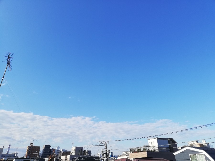 おはよー☀️😃