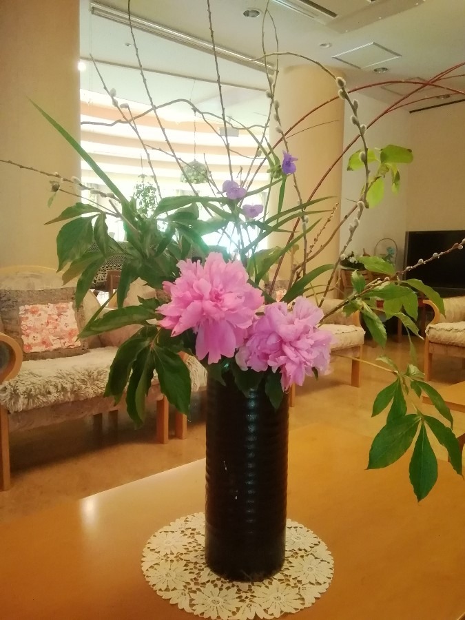 職場の花③