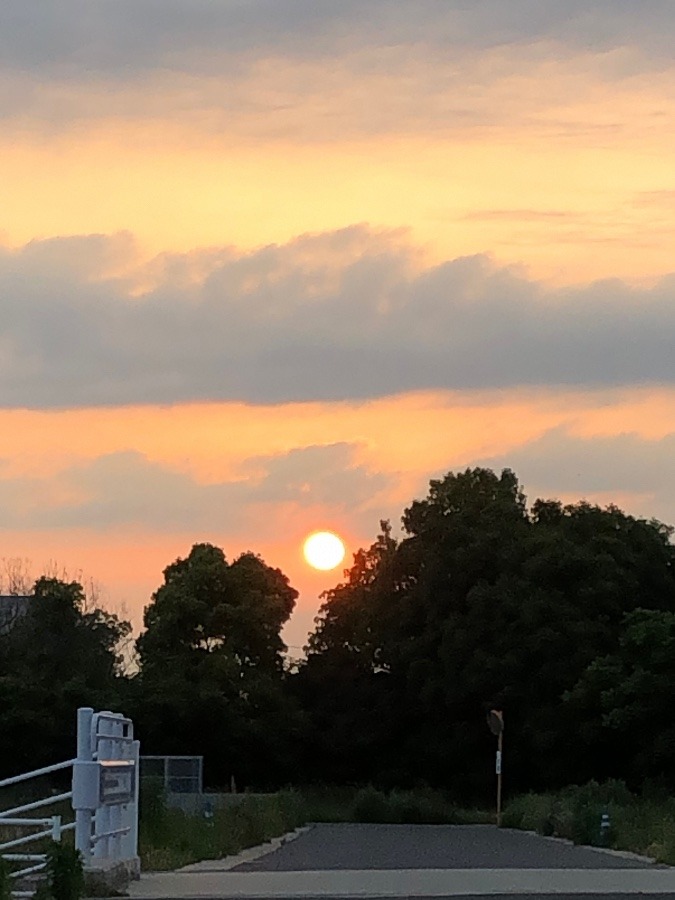 今の空　(中津)