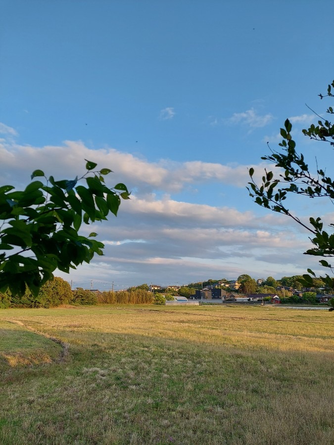 夕方の東の空