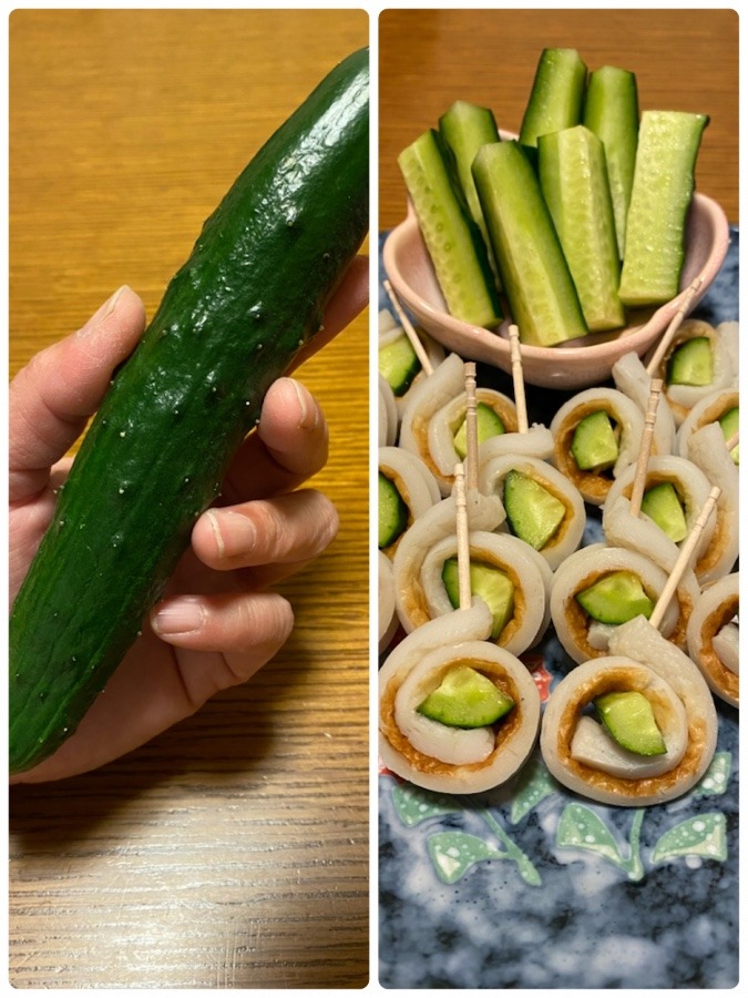 収穫🥒