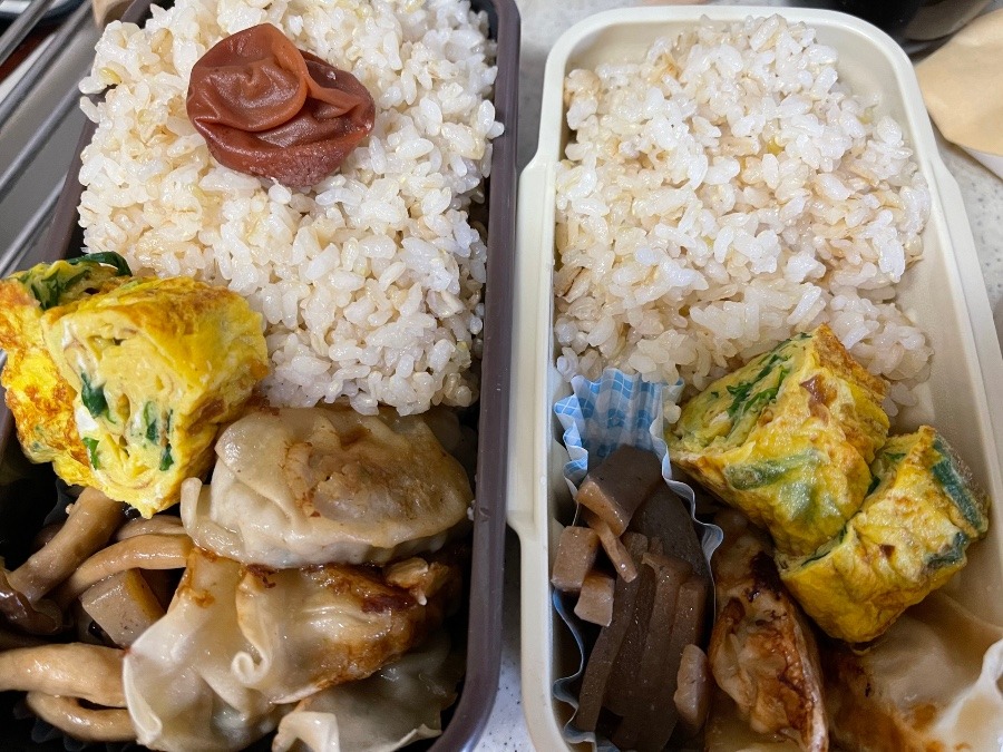 5/10弁当