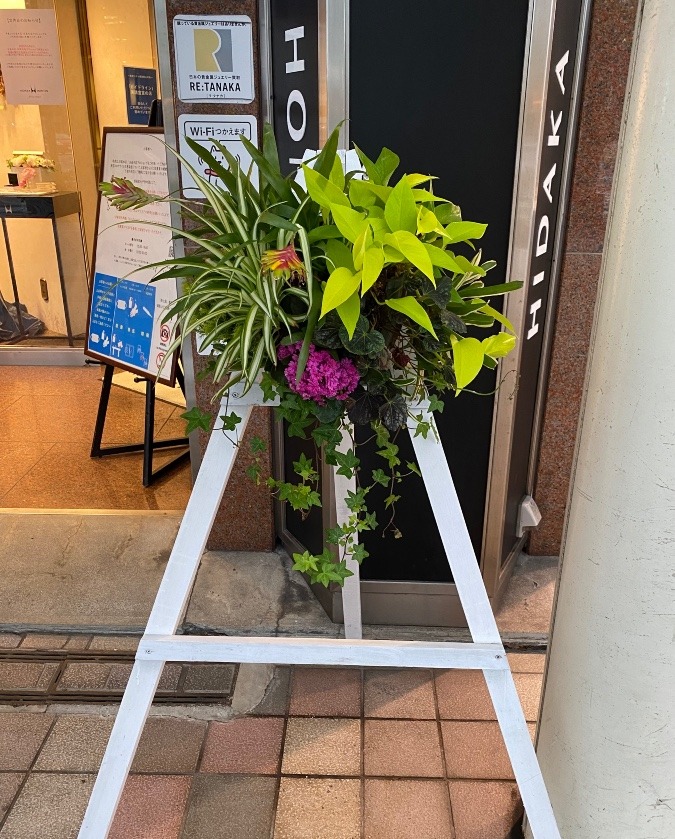 店先のお花❣️