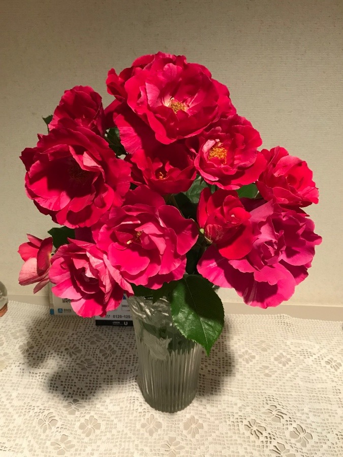 ✨大切な方が育てた薔薇✨