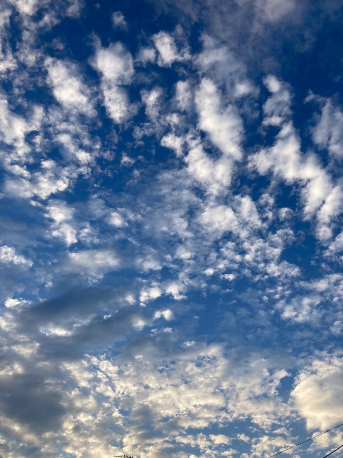 今日18時頃の空