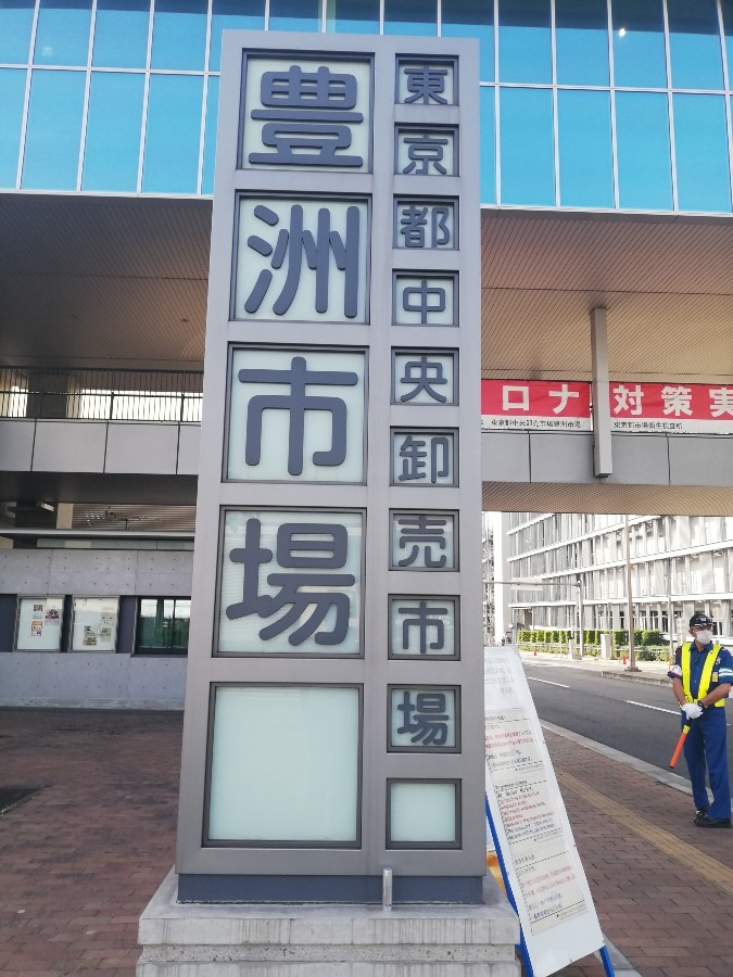 初の豊洲市場