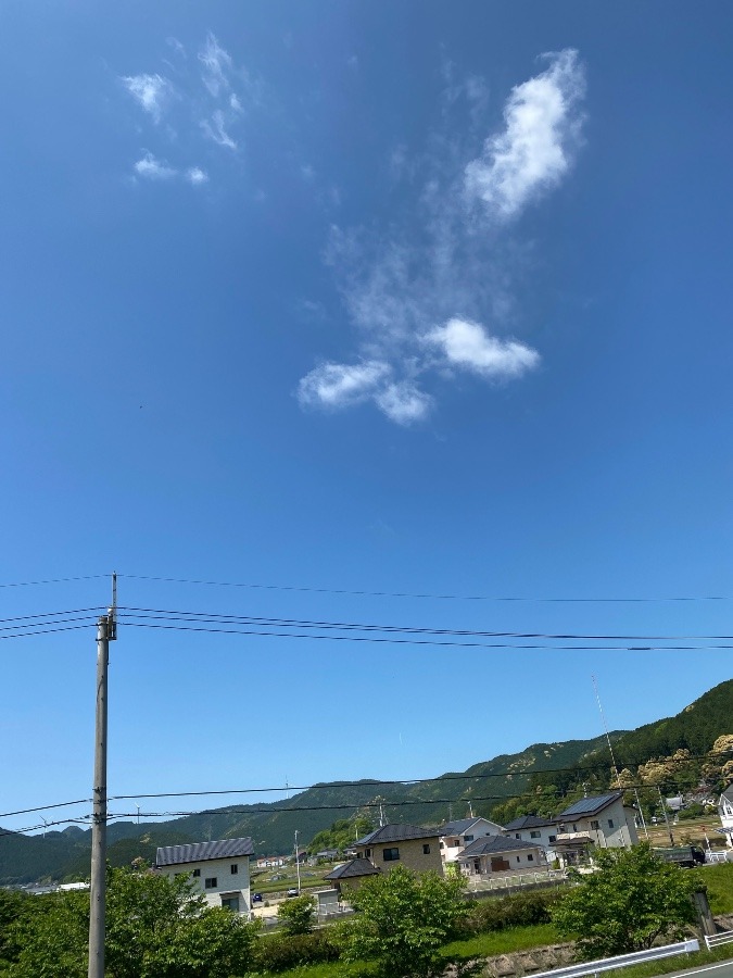今日も良い天氣‼️