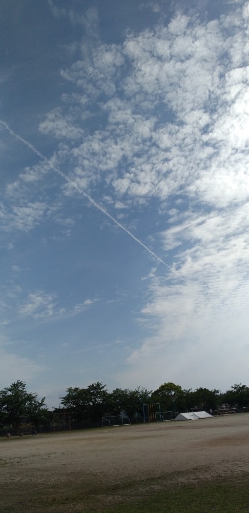 西空に一直線の飛行機雲