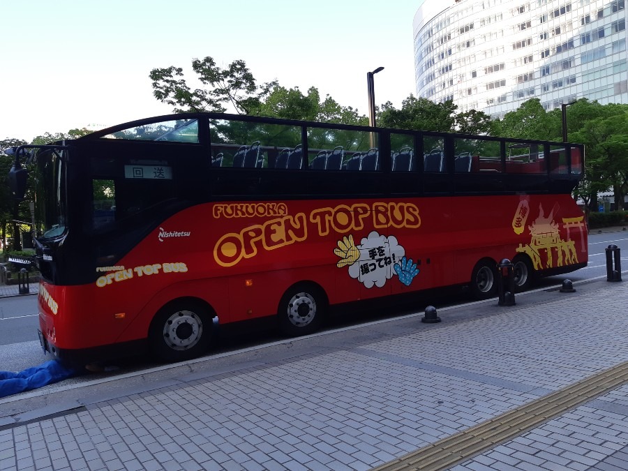 観光バス🚌