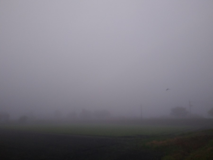 都城市（2022/5/8）　今朝は雲☁️霧が深いです😨