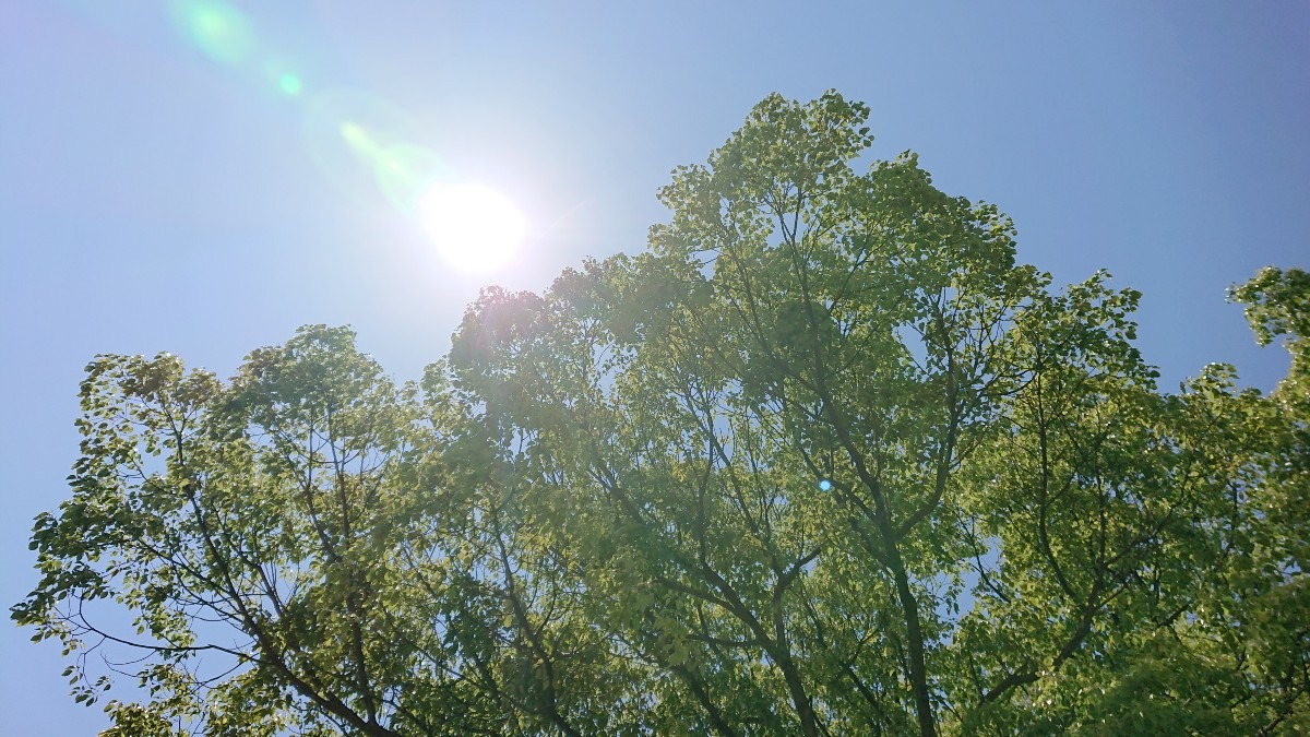 今日の空