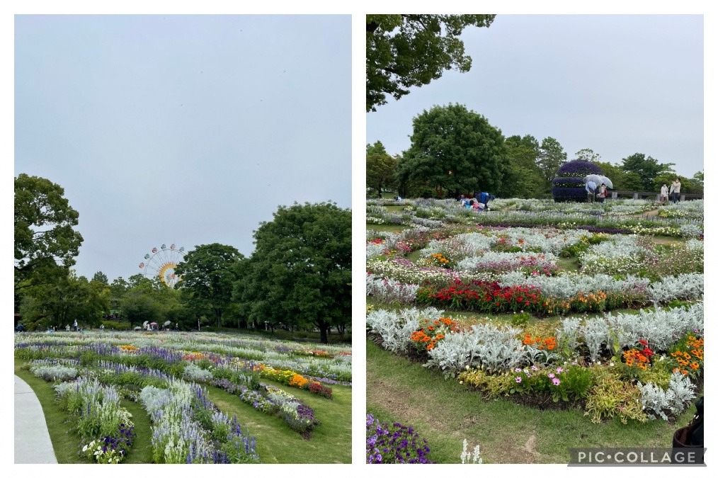 熊本市動植物園