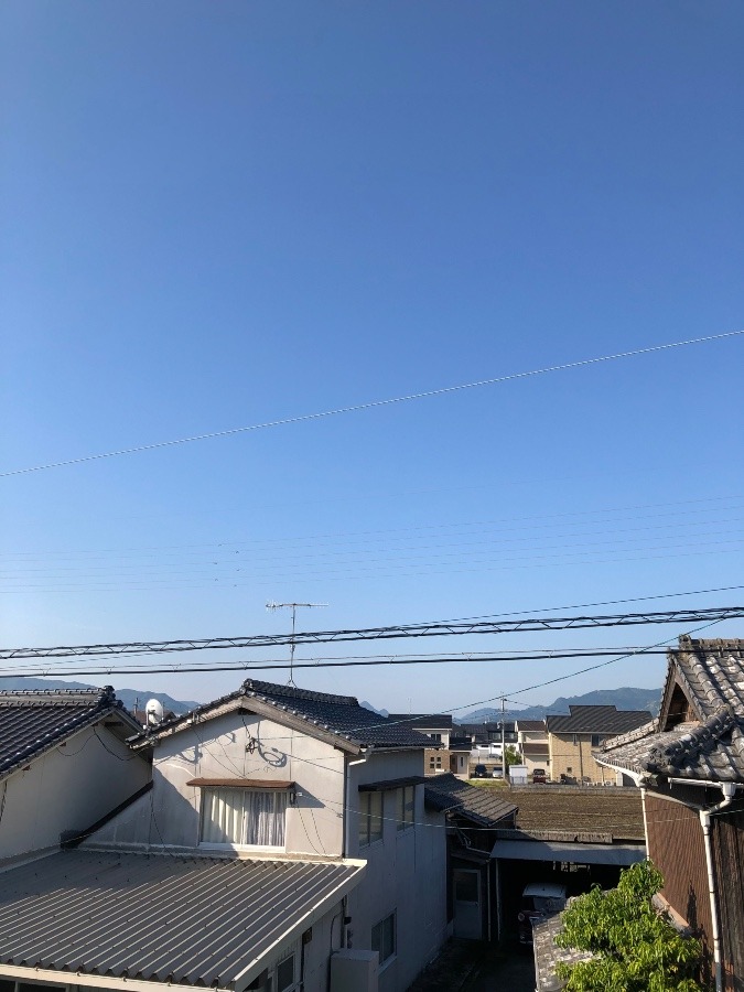 今朝の空(12)