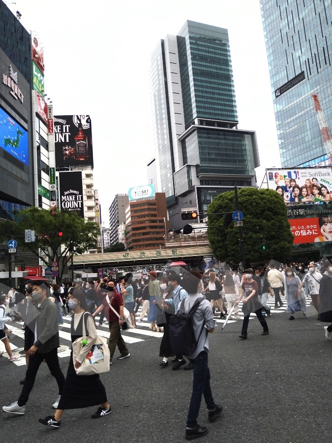 少ない!?渋谷のスクランブル交差点