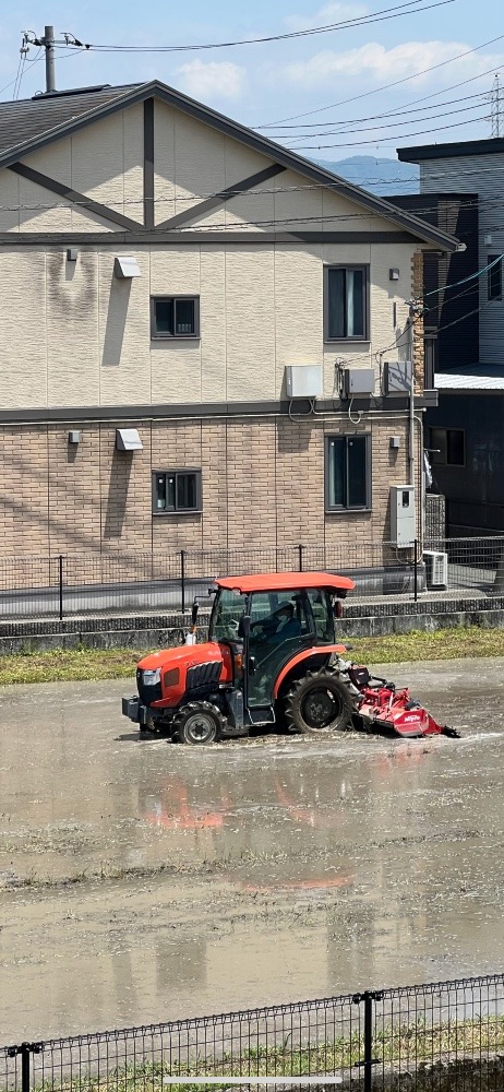 休日の風景