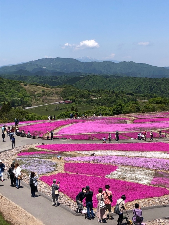 茶臼山高原！