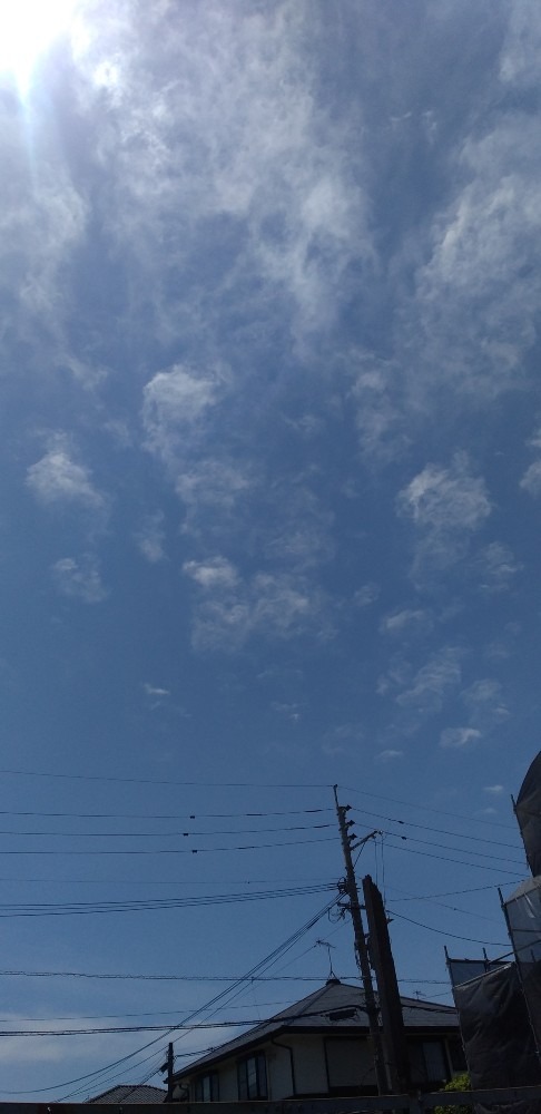 空の水族館